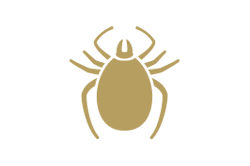 Bed Bugs Pest Control in Hatfield and across Hertfordshire