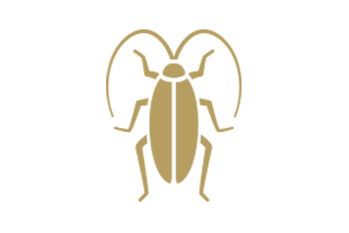 Cockroaches Pest Control in Hatfield and across Hertfordshire