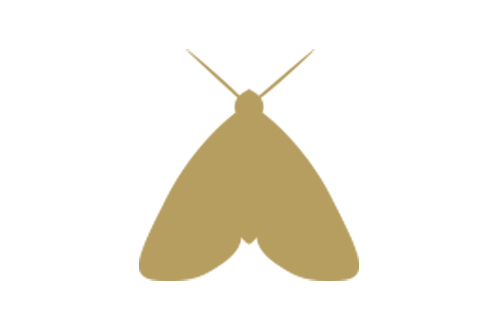 Moths Pest Control in Hatfield and across Hertfordshire