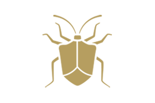 Common Pest Control in Hatfield and across Hertfordshire