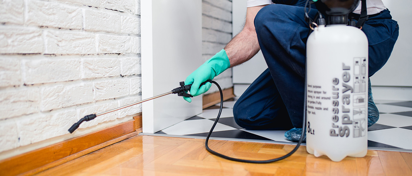 Pest Control Across Hatfield, Hertfordshire and North London