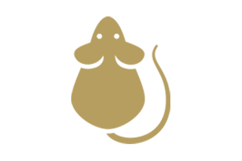 Mice, Rats & Rodents Pest Control in Hatfield and across Hertfordshire